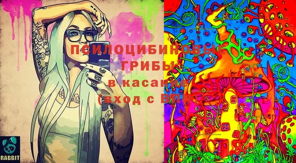 тгк Няндома