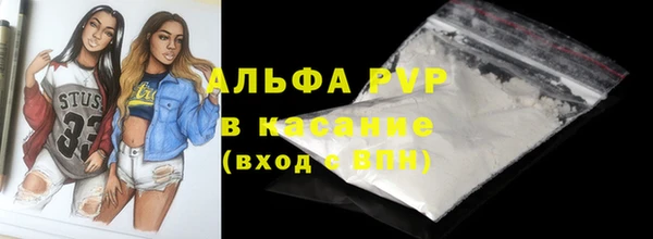 винт Лагань