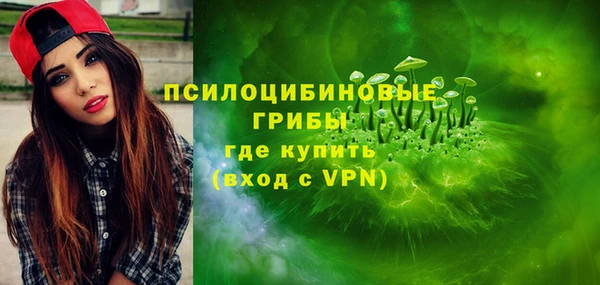 тгк Няндома