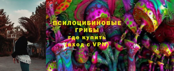 тгк Няндома