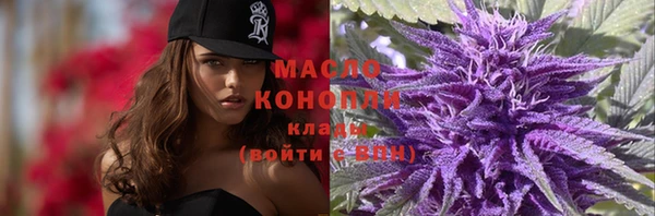 тгк Няндома