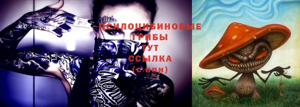 тгк Няндома