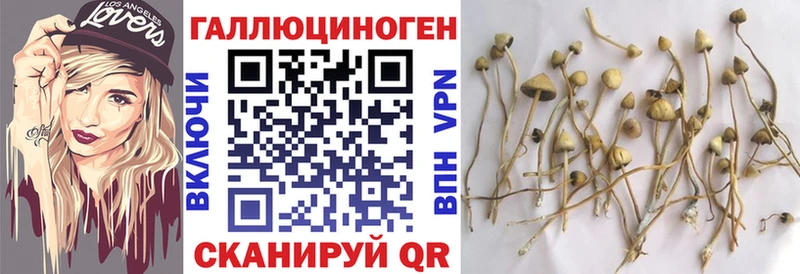 хочу наркоту  Крымск  Псилоцибиновые грибы GOLDEN TEACHER 