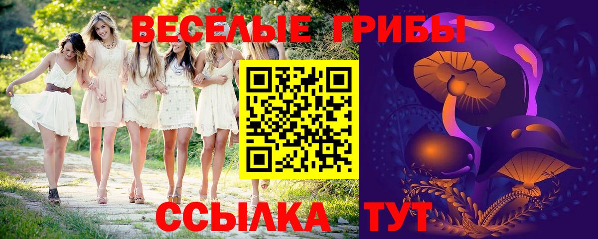 Псилоцибиновые грибы Psilocybe  Крымск  Псилоцибиновые грибы Psilocybe 